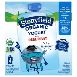 Stonyfield Organic Kids Reduced Fat Yogurt Pouches, Blueberry