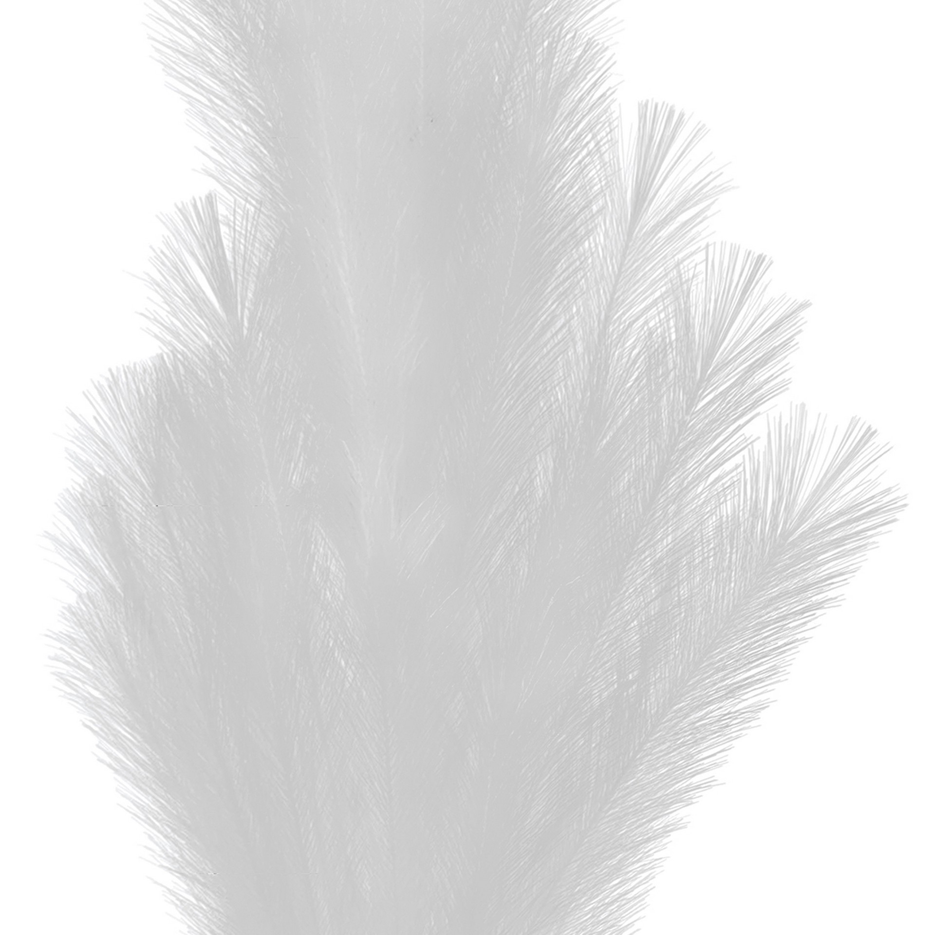 slide 3 of 3, 42" White Pampas Grass Stem By Ashland, 42 in