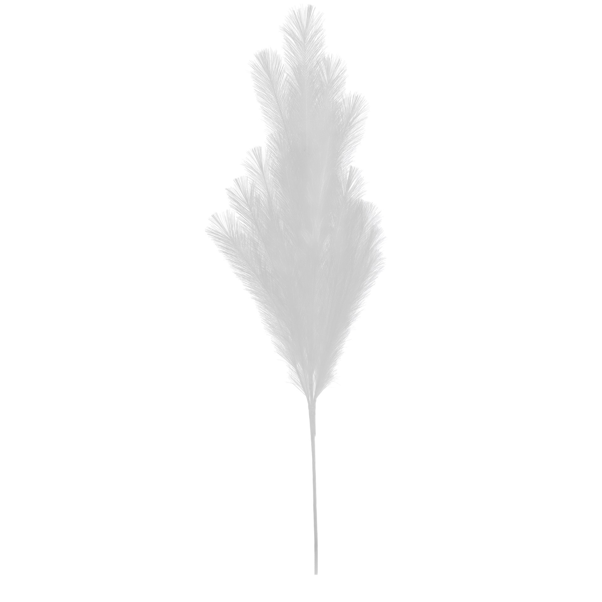 slide 2 of 3, 42" White Pampas Grass Stem By Ashland, 42 in