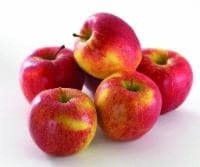 slide 1 of 1, Produce Scilate Large Apple 1 ea, 1 ct