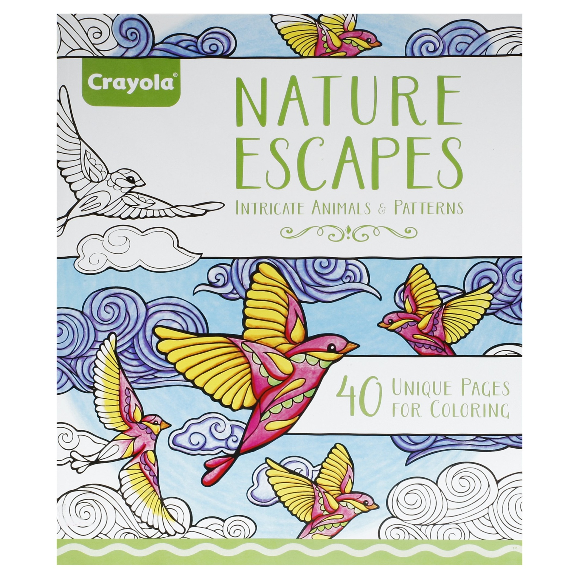 slide 1 of 1, Crayola Adult Coloring Book - Nature Escapes, 40 ct