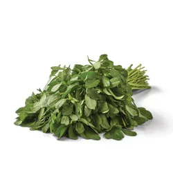 Fresh Fenugreek (Methi) Leaf
