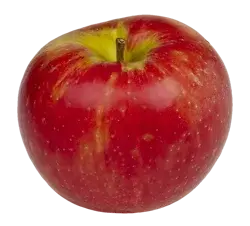 Organic Fancy Honeycrisp Apple