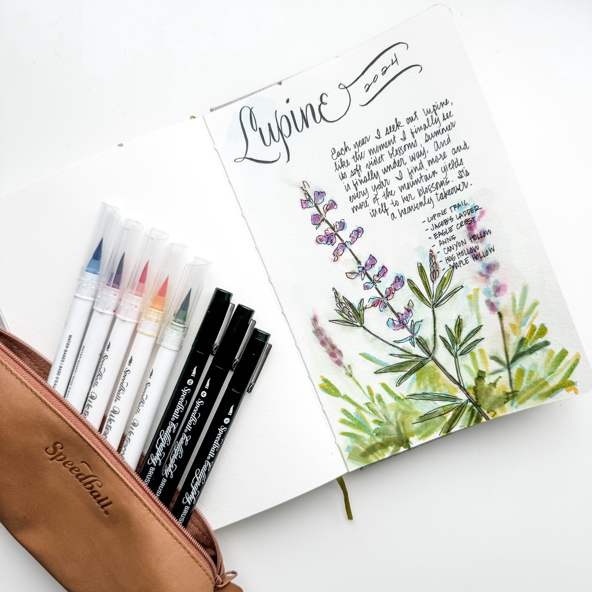 slide 3 of 5, Speedball Hand-Lettering Calligraphy & Watercolor Brush Marker Set, 12 ct