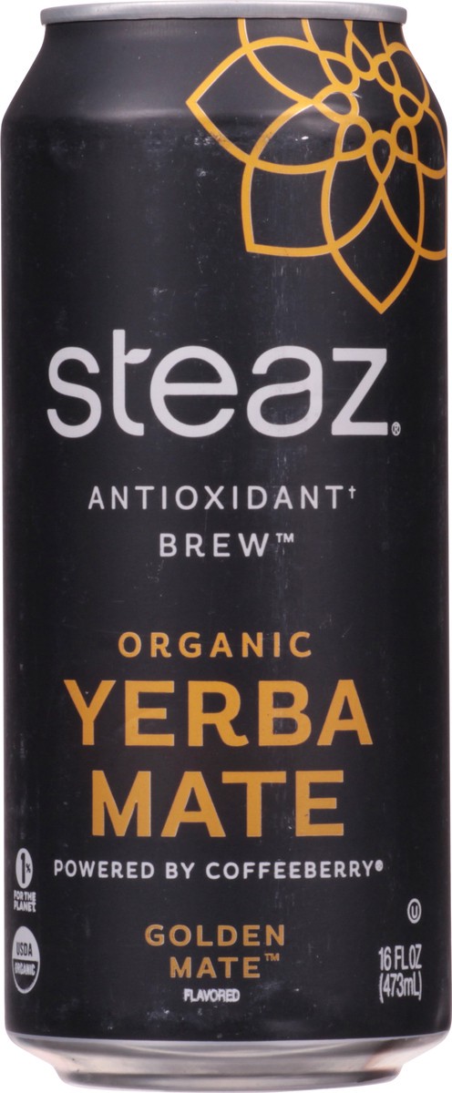 slide 7 of 14, Steaz Organic Yerba Mate Golden Mate - 16 fl oz, 16 fl oz