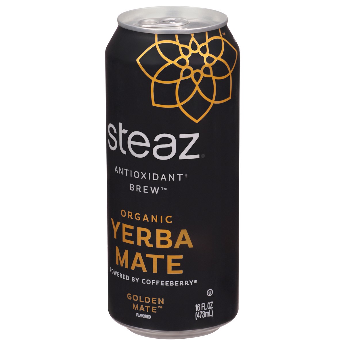 slide 2 of 14, Steaz Organic Yerba Mate Golden Mate - 16 fl oz, 16 fl oz