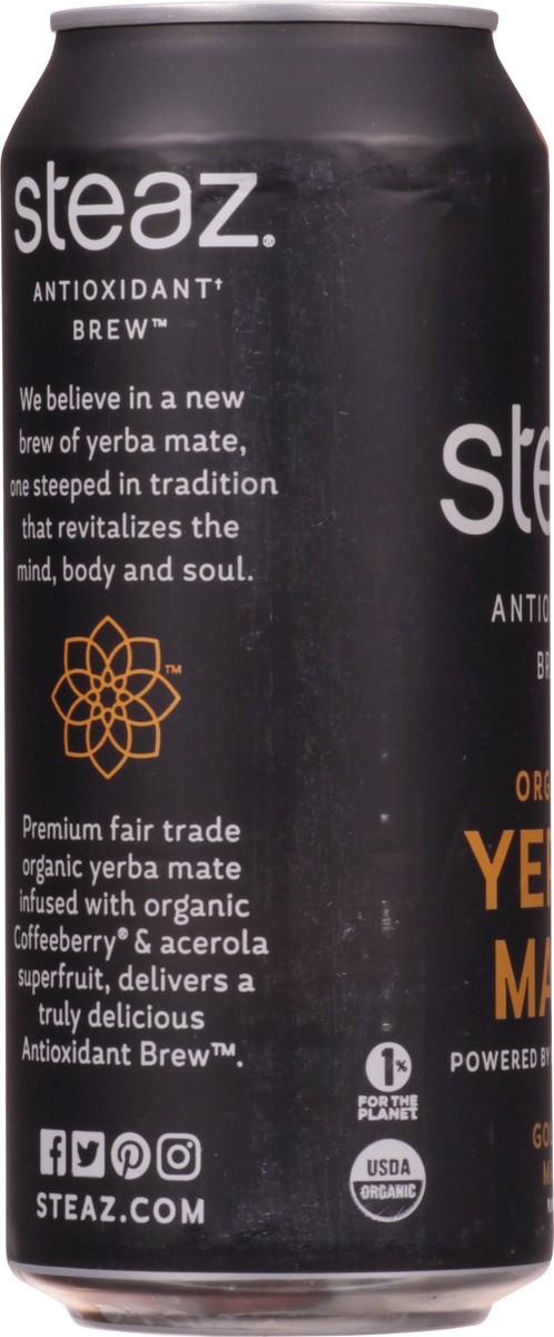 slide 4 of 14, Steaz Organic Yerba Mate Golden Mate - 16 fl oz, 16 fl oz