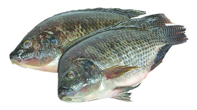 slide 1 of 1, Mojarra Limpia Entera, per lb