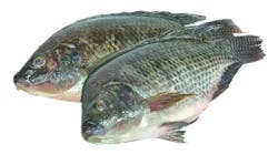 Mojarra Limpia Entera