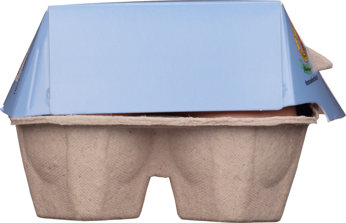 slide 11 of 13, Helpful Hens Large Free Range Brown Eggs 12 ea, 12 ct