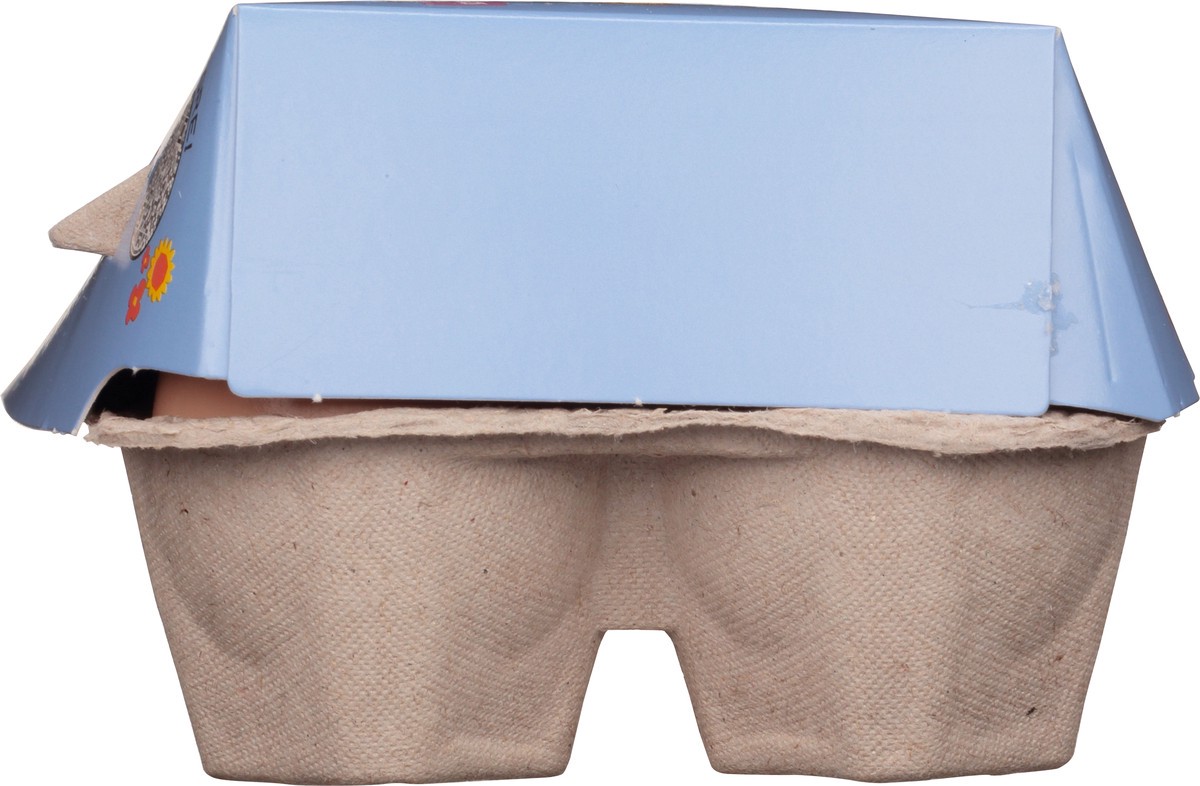 slide 13 of 13, Helpful Hens Large Free Range Brown Eggs 12 ea, 12 ct