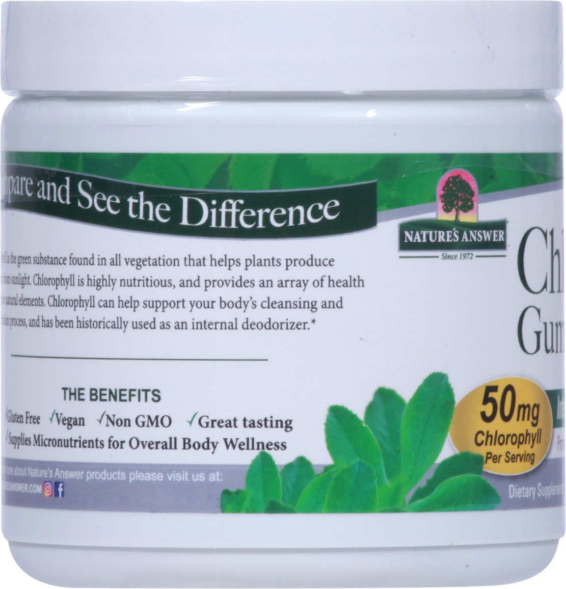 slide 8 of 9, Nature's Answer 50 mg Natural Peppermint Flavor Chlorophyll 60 Pectin Gummies, 60 ct