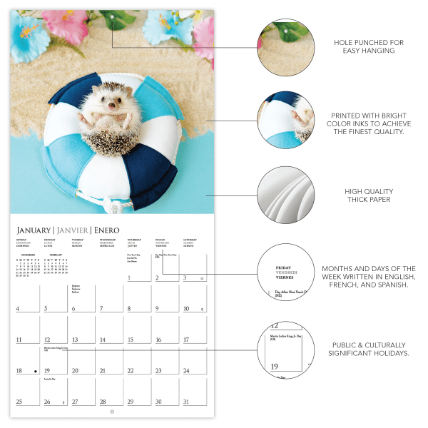 slide 2 of 5, 2026 Graphique Animals Monthly Mini Wall Calendar, 7"" x 7"", Happiest Hedgehog, January To December, MY05626, 1 ct