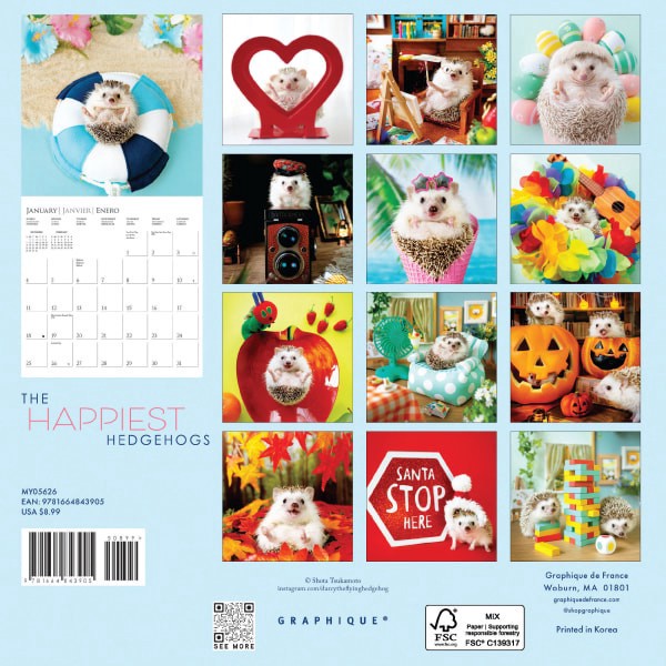 slide 4 of 5, 2026 Graphique Animals Monthly Mini Wall Calendar, 7"" x 7"", Happiest Hedgehog, January To December, MY05626, 1 ct