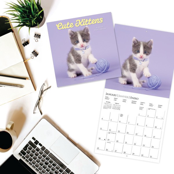 slide 5 of 5, 2026 Graphique Animals Monthly Wall Calendar, 12"" x 12"", Cute Kittens, January To December, CY97626, 1 ct