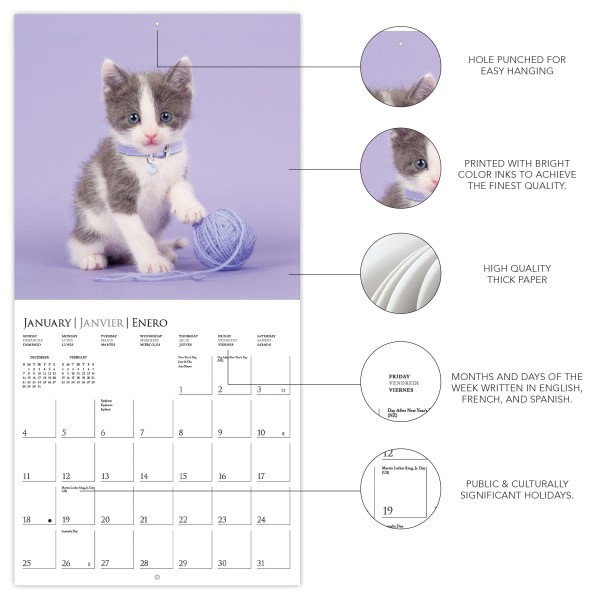 slide 2 of 5, 2026 Graphique Animals Monthly Wall Calendar, 12"" x 12"", Cute Kittens, January To December, CY97626, 1 ct