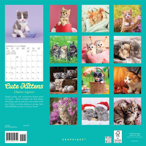 slide 3 of 5, 2026 Graphique Animals Monthly Wall Calendar, 12"" x 12"", Cute Kittens, January To December, CY97626, 1 ct
