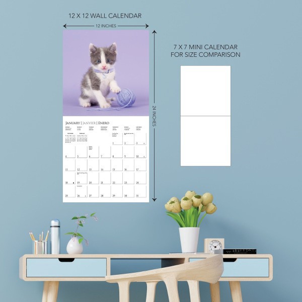 slide 4 of 5, 2026 Graphique Animals Monthly Wall Calendar, 12"" x 12"", Cute Kittens, January To December, CY97626, 1 ct