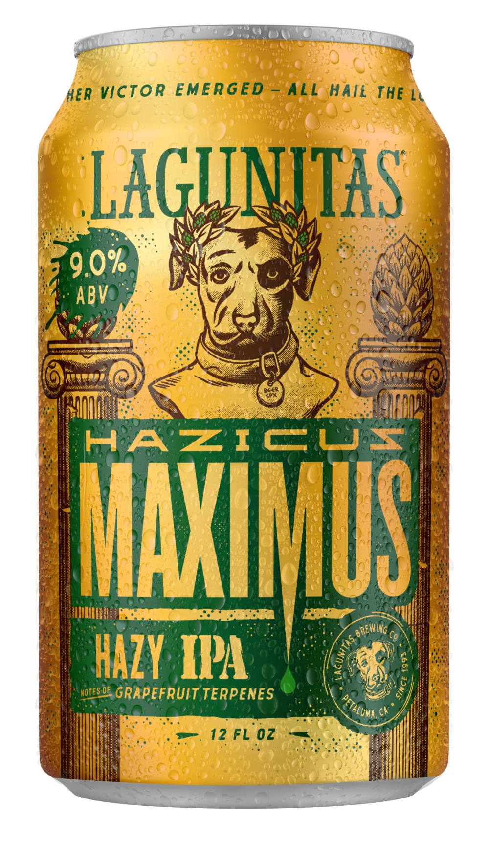 slide 4 of 4, Lagunitas Hazicus Maximus Ale, 12 Pack, 12 fl. oz. Cans, 144 oz