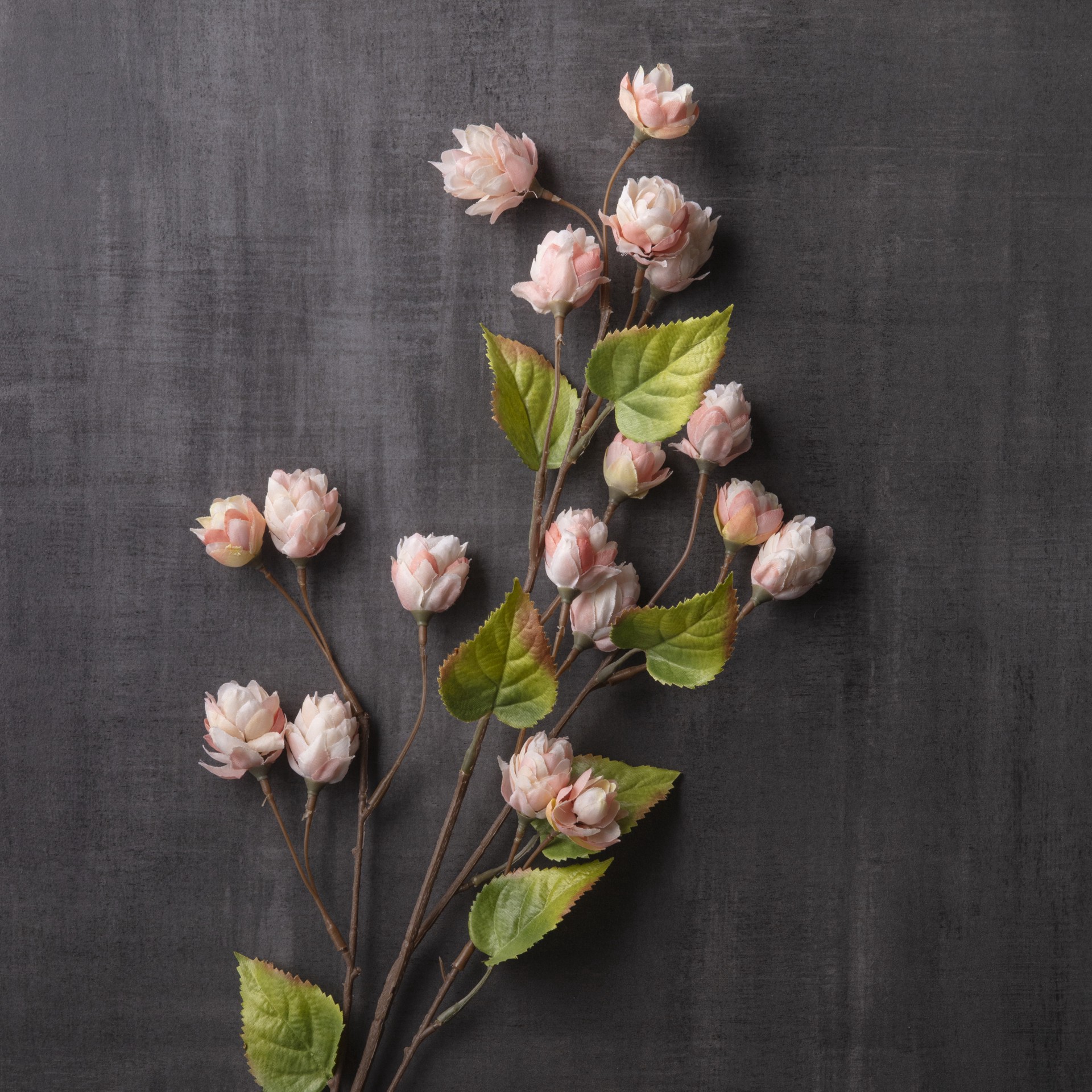 slide 2 of 4, Blush Hops Stem By Ashland, 1 ct