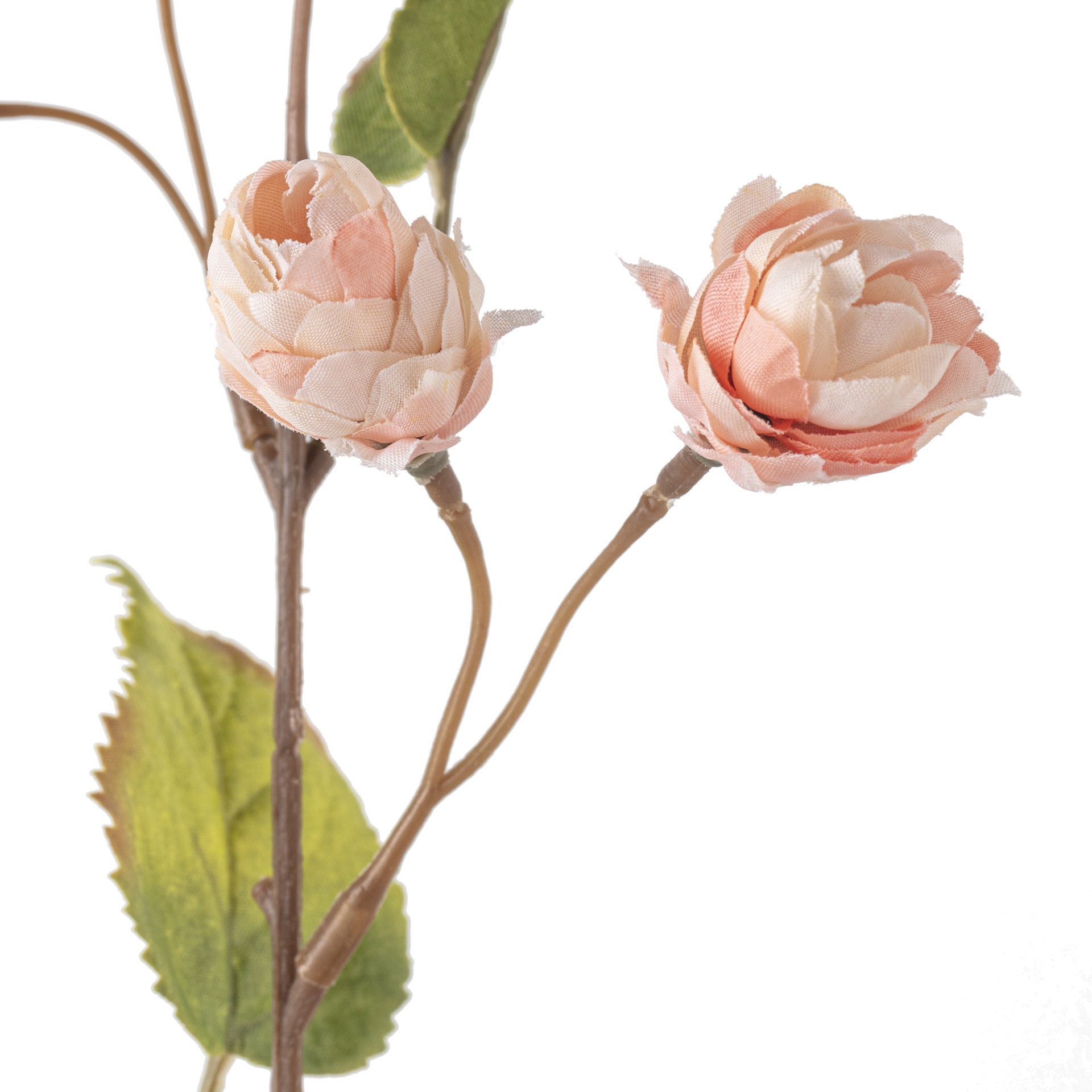 slide 3 of 4, Blush Hops Stem By Ashland, 1 ct