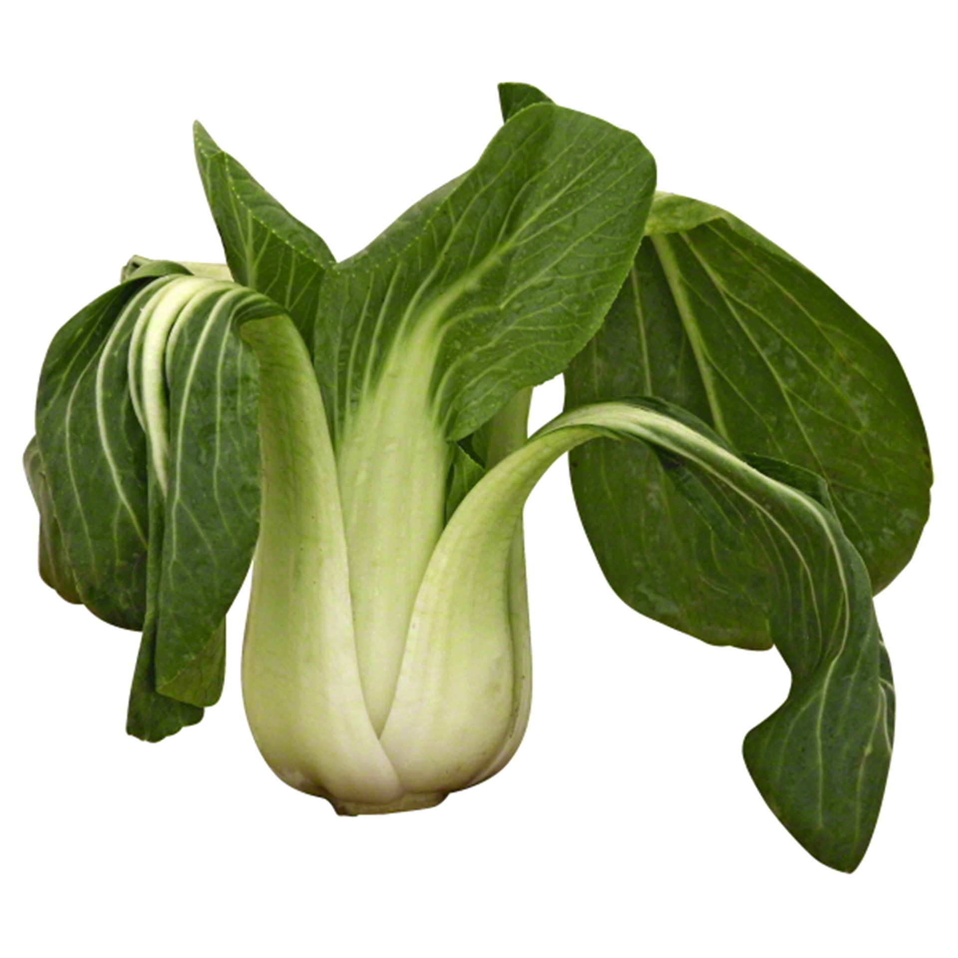 slide 1 of 1, Melissa's Bok Choy Leaves Bags, 16 oz