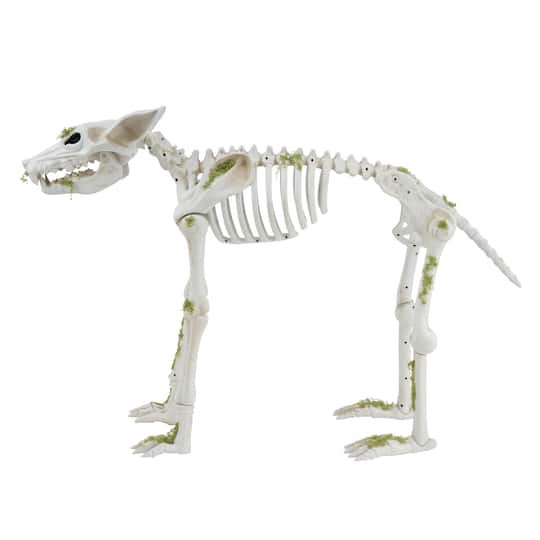 slide 1 of 5, 35" Animated Wolf Skeleton By Ashland, 35 in