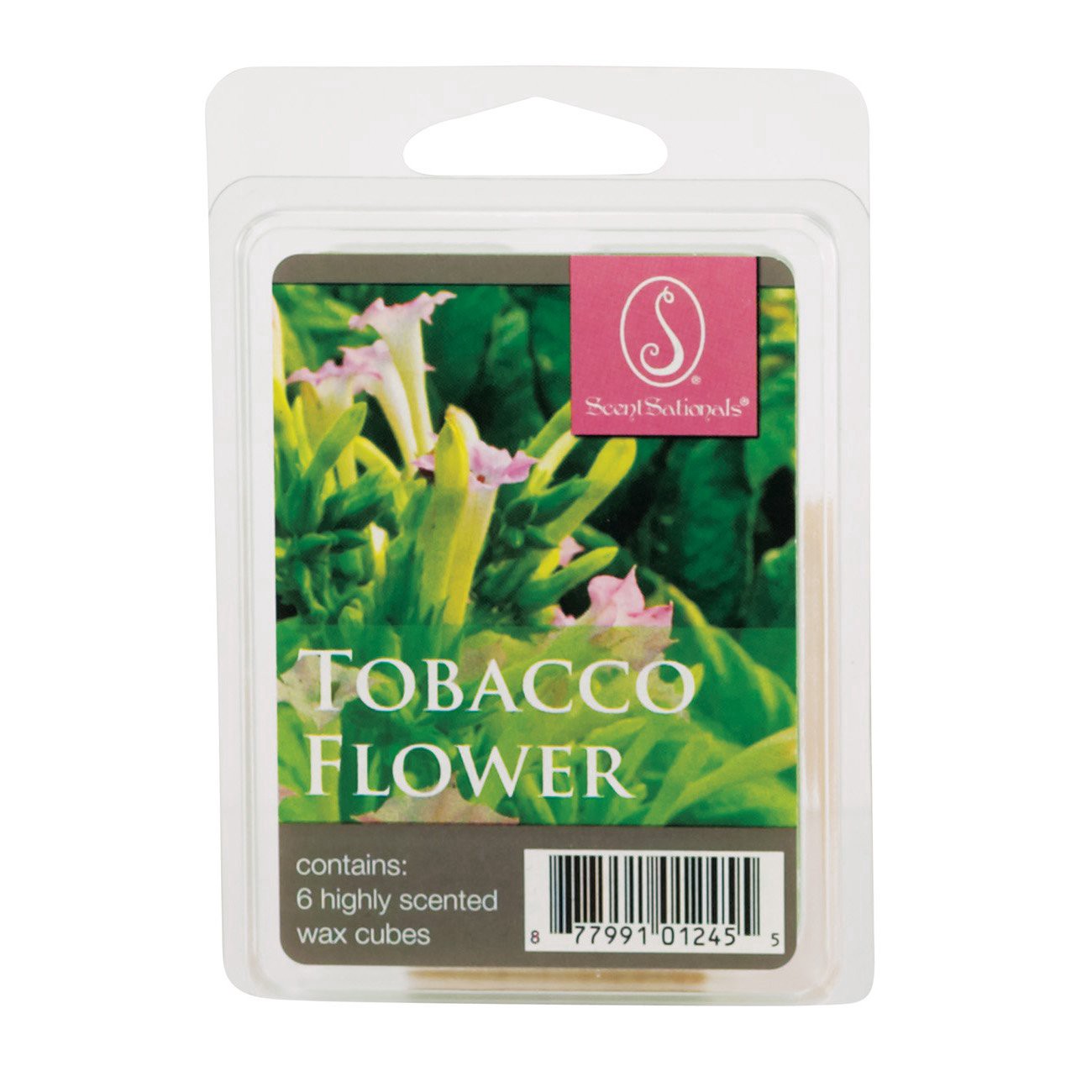 slide 1 of 1, ScentSationals Tobacco Flower Scented Wax Cubes, 6 ct