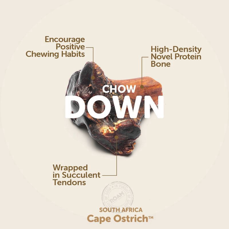 slide 4 of 4, ROAM Large GnawKle Dog Treats, 10.2 oz