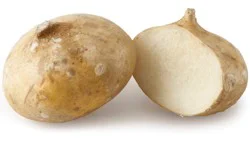 Conventional Jicama