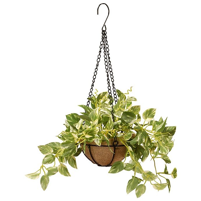 slide 1 of 1, National Tree Company Artificial Pothos Hanging Plant - Basket, 9 in