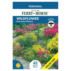 Perennial Mix