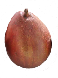 Premium Organic Organic Red Anjou Pears