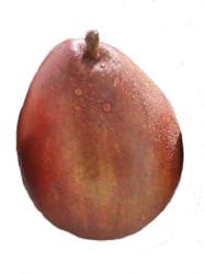 Premium Organic Organic Red Anjou Pears