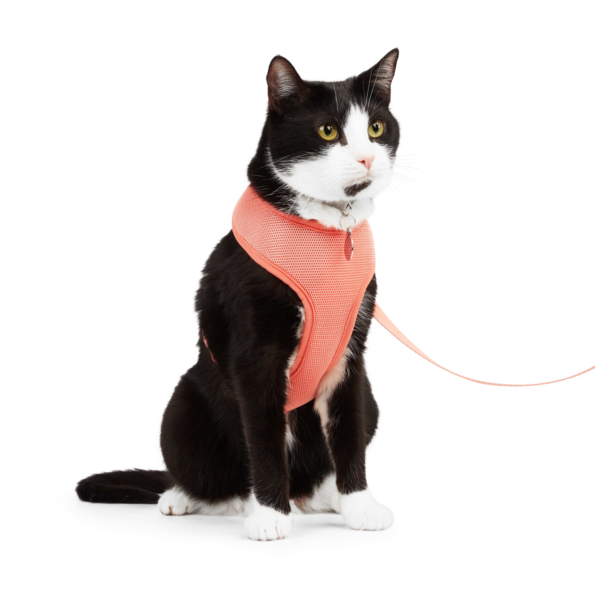 slide 1 of 1, YOULY Coral Mesh Cat Harness Set, Large/X-Large, 1 ct