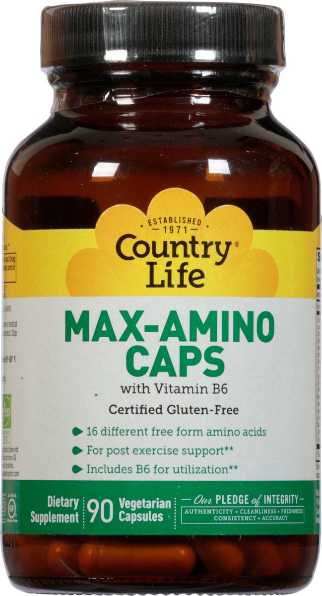 slide 4 of 12, Country Life Max-Amino W/ B6, 90 ct