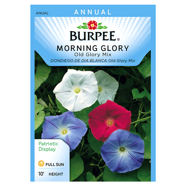 slide 1 of 1, Burpee Morning Glory, Old Glory Mix, 1 ct