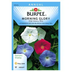 Burpee Morning Glory, Old Glory Mix