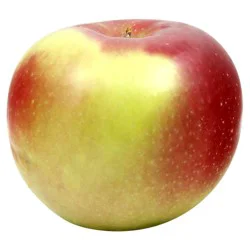 Produce McIntosh Apple