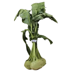 Produce Kohlrabi 1 ea