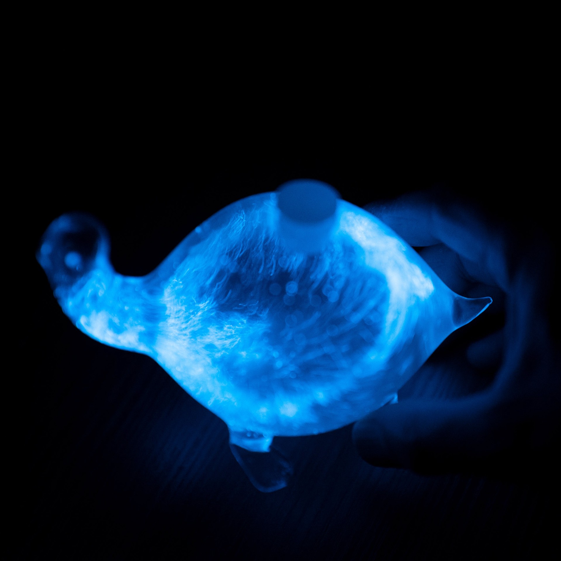 slide 1 of 1, Pyrofarms Bioluminescent Turtle Bio-Orb, 1 ct