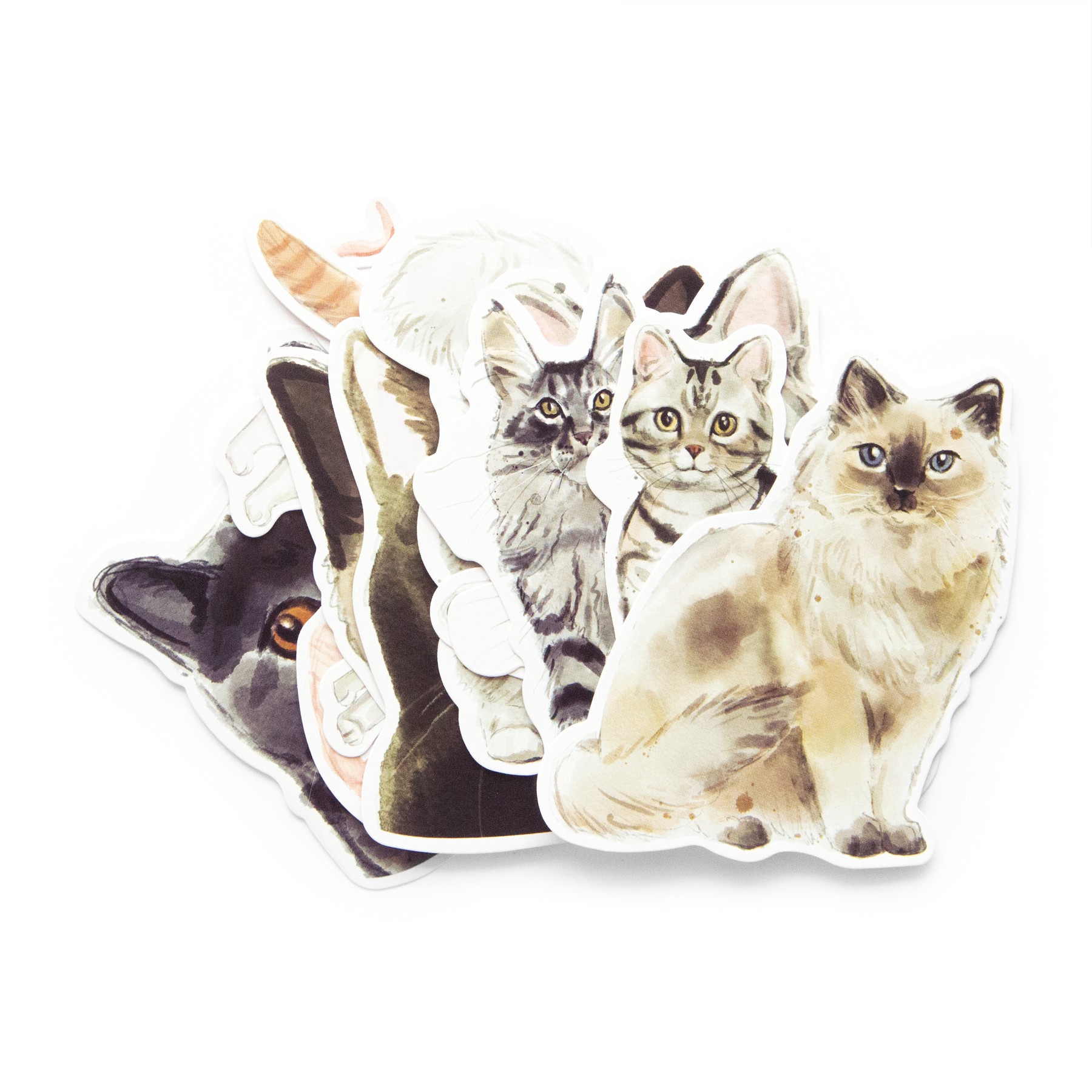 slide 3 of 5, Cats Die Cut Stickers By Recollections, 4 in x 5.98 in