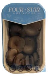Four Star Blue Oyster Mushrooms Punnet