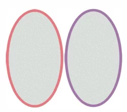 Studio M Professional Studio M Pro Pumice Stone