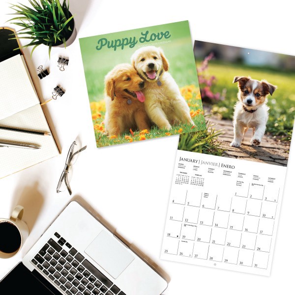slide 5 of 5, 2026 Graphique Animals Monthly Wall Calendar, 12"" x 12"", Puppy Love, January To December, CY97226, 1 ct