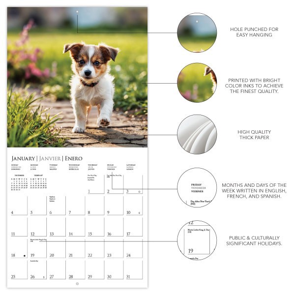 slide 4 of 5, 2026 Graphique Animals Monthly Wall Calendar, 12"" x 12"", Puppy Love, January To December, CY97226, 1 ct