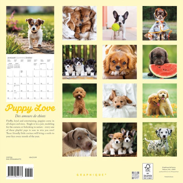slide 2 of 5, 2026 Graphique Animals Monthly Wall Calendar, 12"" x 12"", Puppy Love, January To December, CY97226, 1 ct