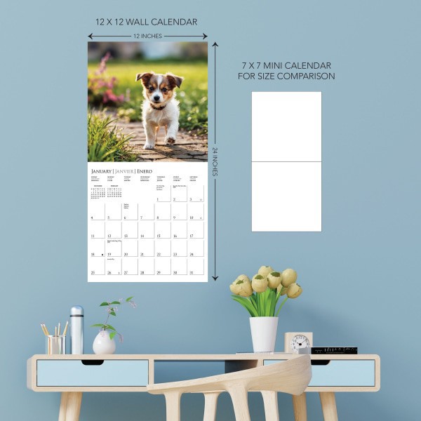 slide 3 of 5, 2026 Graphique Animals Monthly Wall Calendar, 12"" x 12"", Puppy Love, January To December, CY97226, 1 ct