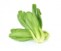 Baby Bok Choy
