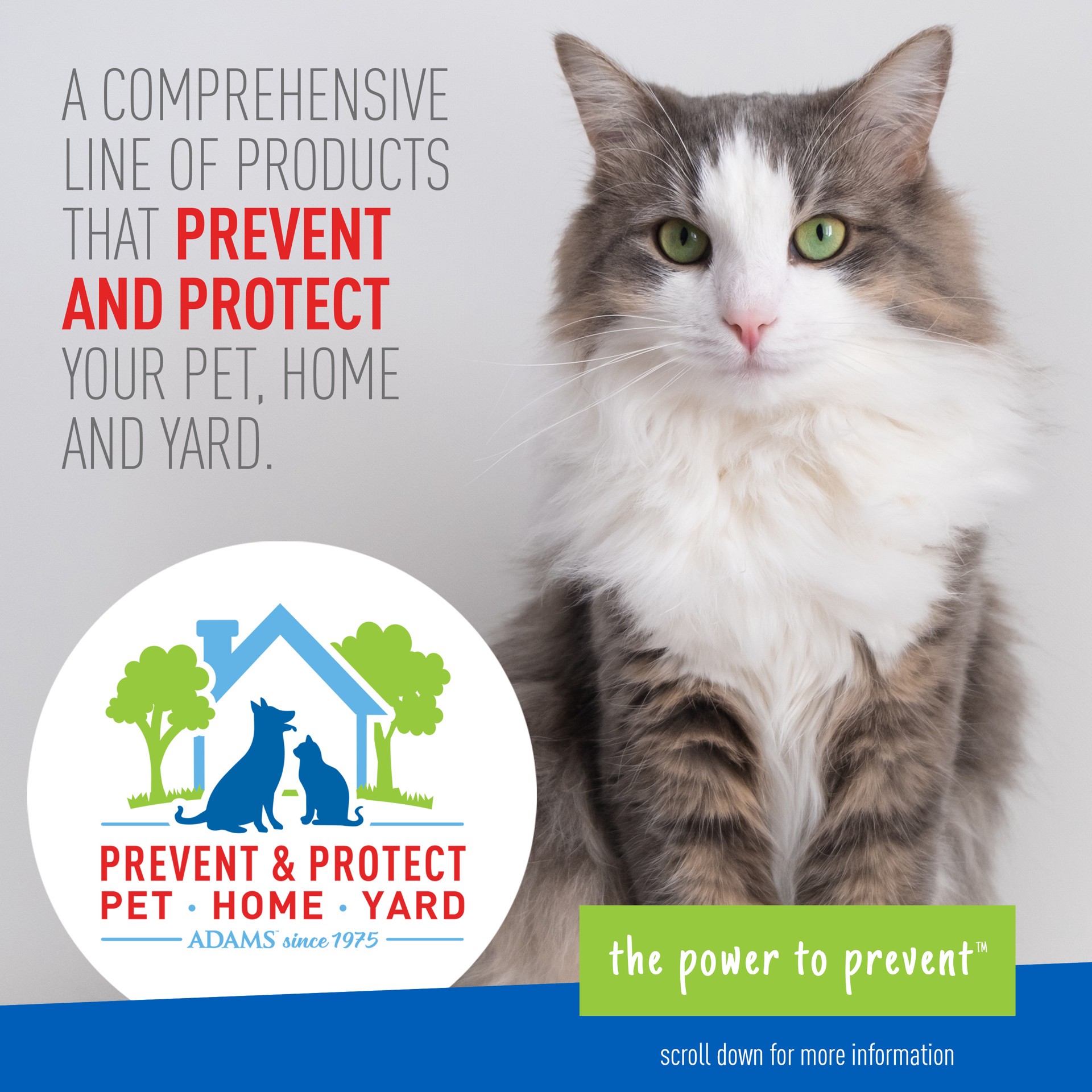 slide 7 of 9, Adams Foaming Flea And Tick Cat Shampo, 10 oz